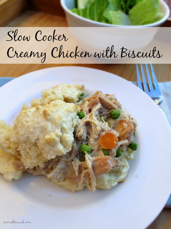 Slow Cooker Creamy Chicken and Biscuits