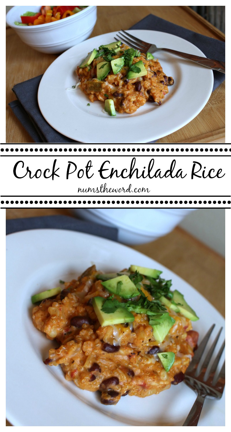 Crock Pot Enchilada Rice